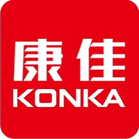 大元集团